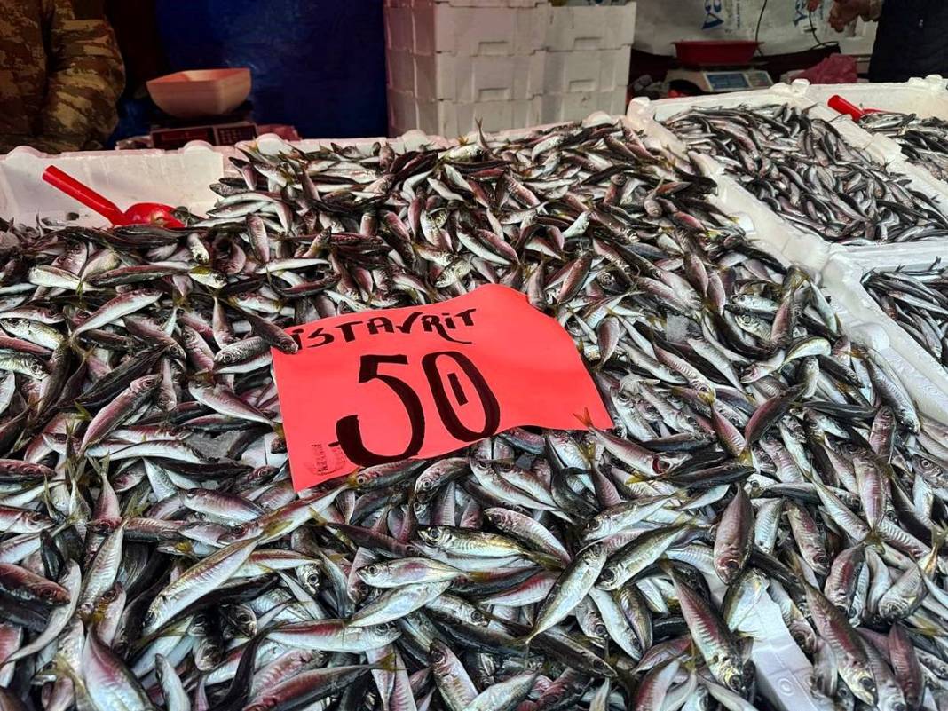 O kentte hamsinin kilosu 50 TL'ye kadar düştü! Fiyatı gören kasa kasa alıyor 15